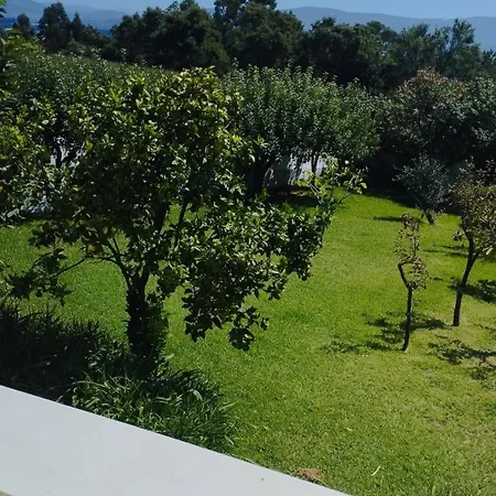 Villantas