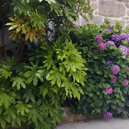 Σπίτι διακοπών Villantas *
